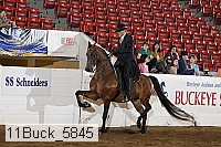 11buck_5845 proof