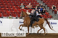 11buck_5847 proof
