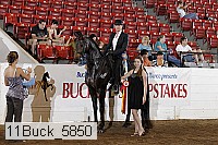 11buck_5850 proof