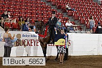 11buck_5852 proof
