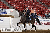 11buck_5857 proof