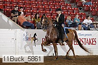 11buck_5861 proof