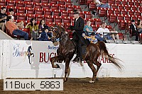 11buck_5863 proof