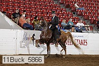 11buck_5866 proof