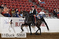 11buck_5868 proof