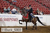 11buck_5869 proof