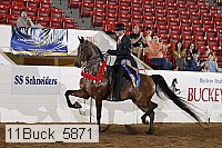 11buck_5871 proof