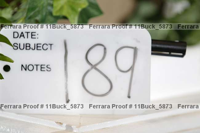 Proof 11buck_5873