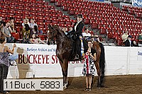 11buck_5883 proof