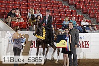 11buck_5885 proof
