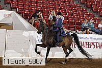 11buck_5887 proof