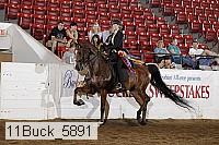 11buck_5891 proof