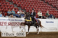 11buck_5896 proof