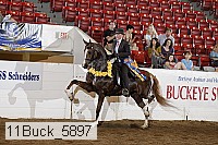 11buck_5897 proof