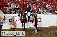 11buck_5915 proof