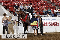 11buck_5919 proof