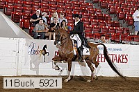 11buck_5921 proof