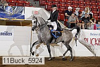 11buck_5924 proof