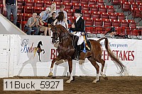 11buck_5927 proof