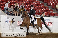 11buck_5930 proof