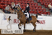 11buck_5933 proof