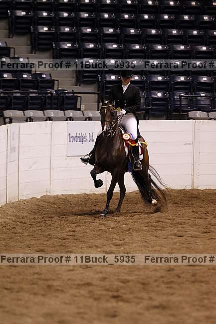 Proof 11buck_5935