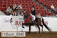 11buck_5940 proof