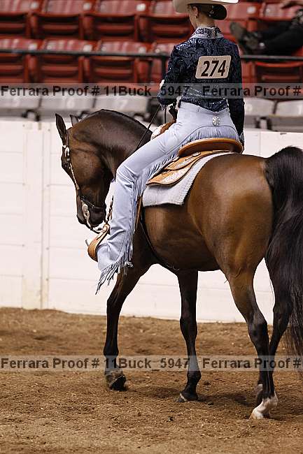 Proof 11buck_5947