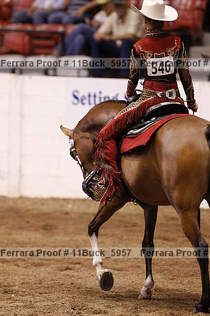 Proof 11buck_5957