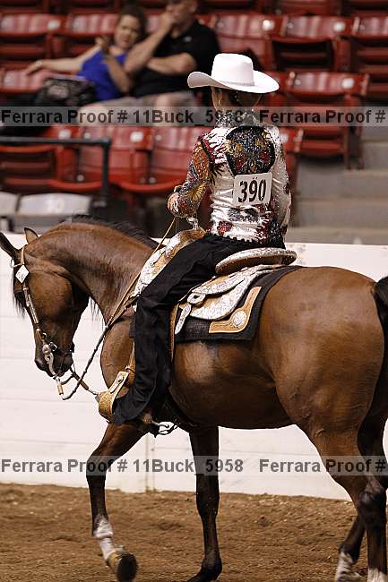 Proof 11buck_5958