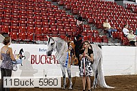 11buck_5960 proof