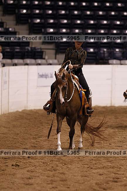 Proof 11buck_5965