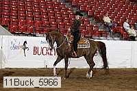 11buck_5966 proof