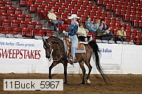 11buck_5967 proof