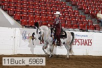 11buck_5969 proof