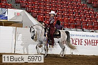 11buck_5970 proof