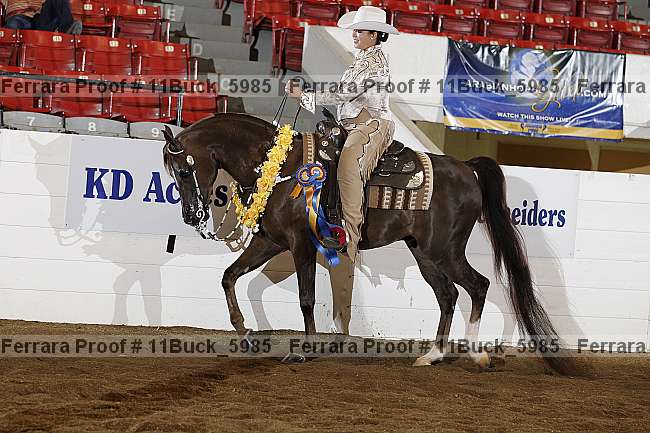 Proof 11buck_5985