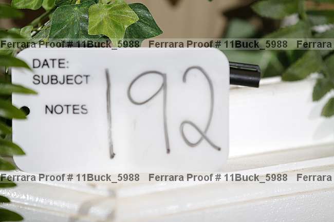 Proof 11buck_5988