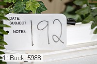 11buck_5988 proof