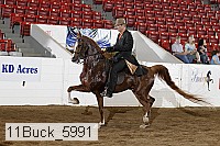11buck_5991 proof