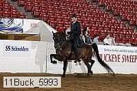 11buck_5993 proof