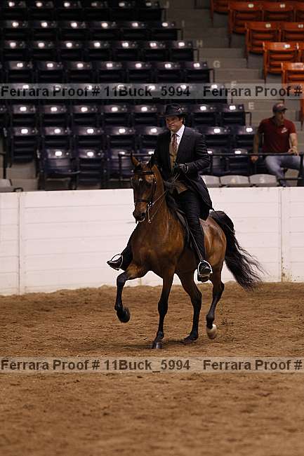 Proof 11buck_5994