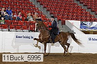 11buck_5995 proof