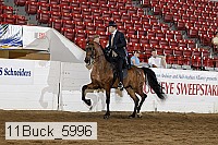 11buck_5996 proof