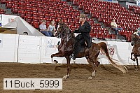11buck_5999 proof