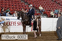 11buck_6002 proof