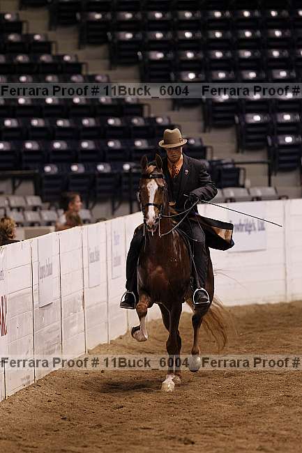 Proof 11buck_6004
