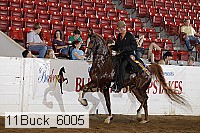 11buck_6005 proof
