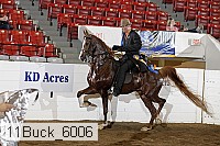 11buck_6006 proof