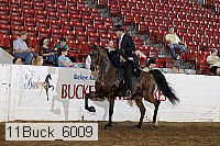 11buck_6009 proof